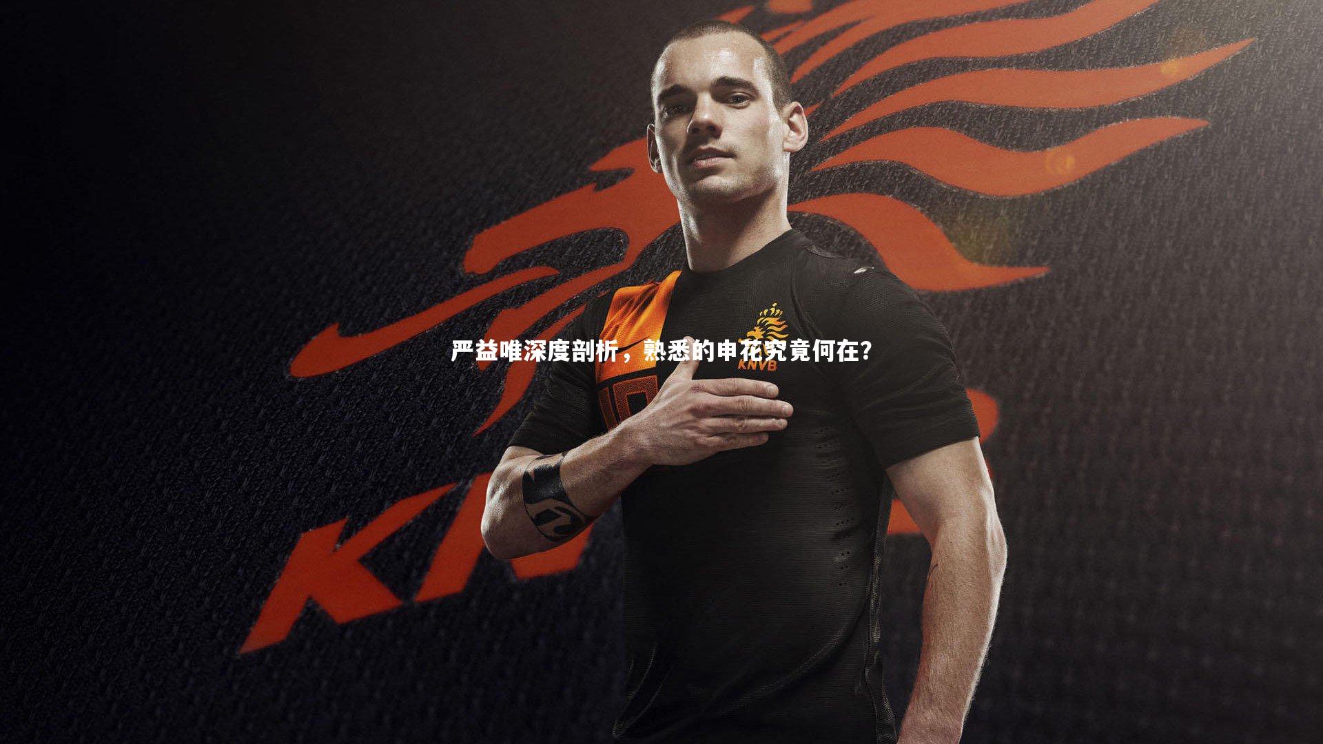 严益唯深度剖析，熟悉的申花究竟何在？