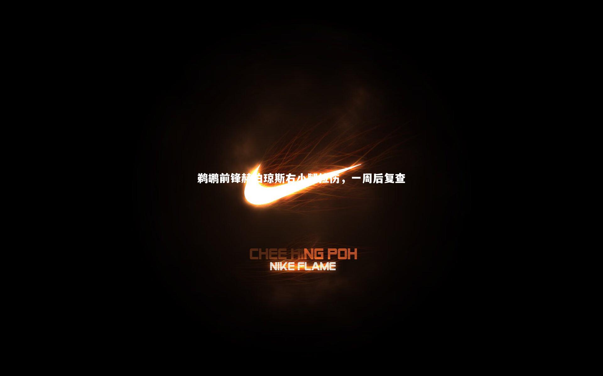 星空体育官网_鹈鹕前锋赫伯琼斯右小腿拉伤，一周后复查